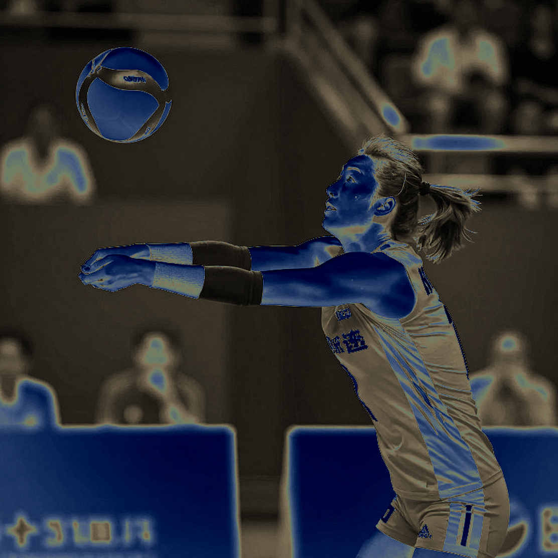 AVC 2026 in Fukuoka: Japan and Iran Unbeaten, Chinese Taipei Breaks Through as Pool Play Winds Down